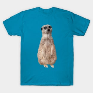 Meerkat - Cute meerkat watching the view -Teal T-Shirt